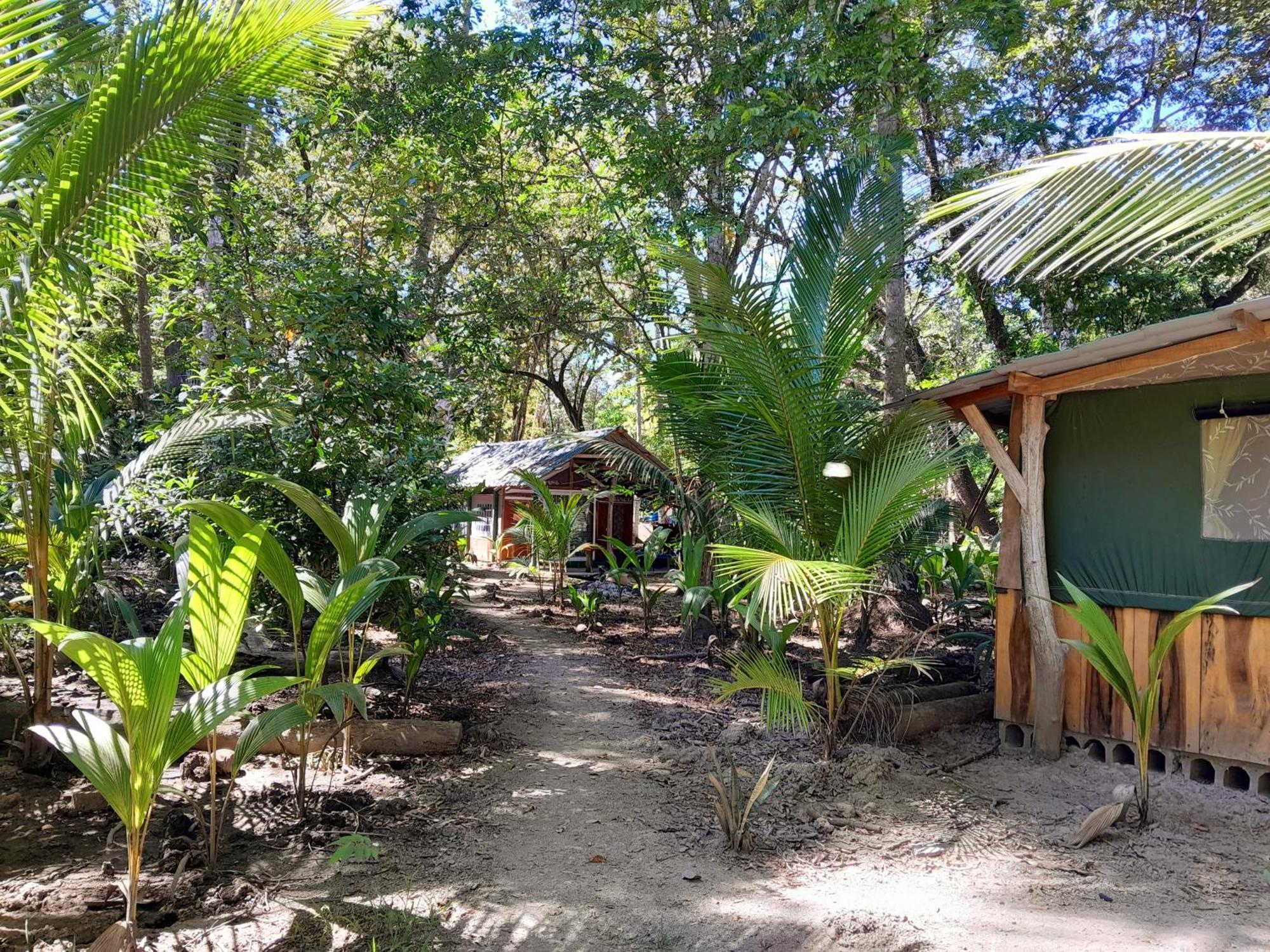 Fully Furnished Family Jungle Tent, Latino Glamping Пакера Экстерьер фото