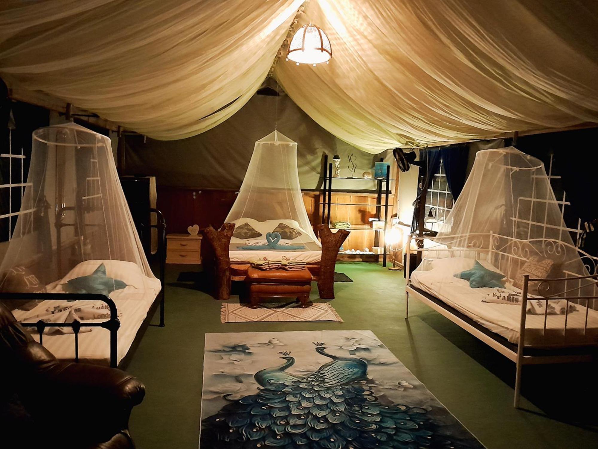 Fully Furnished Family Jungle Tent, Latino Glamping Пакера Экстерьер фото
