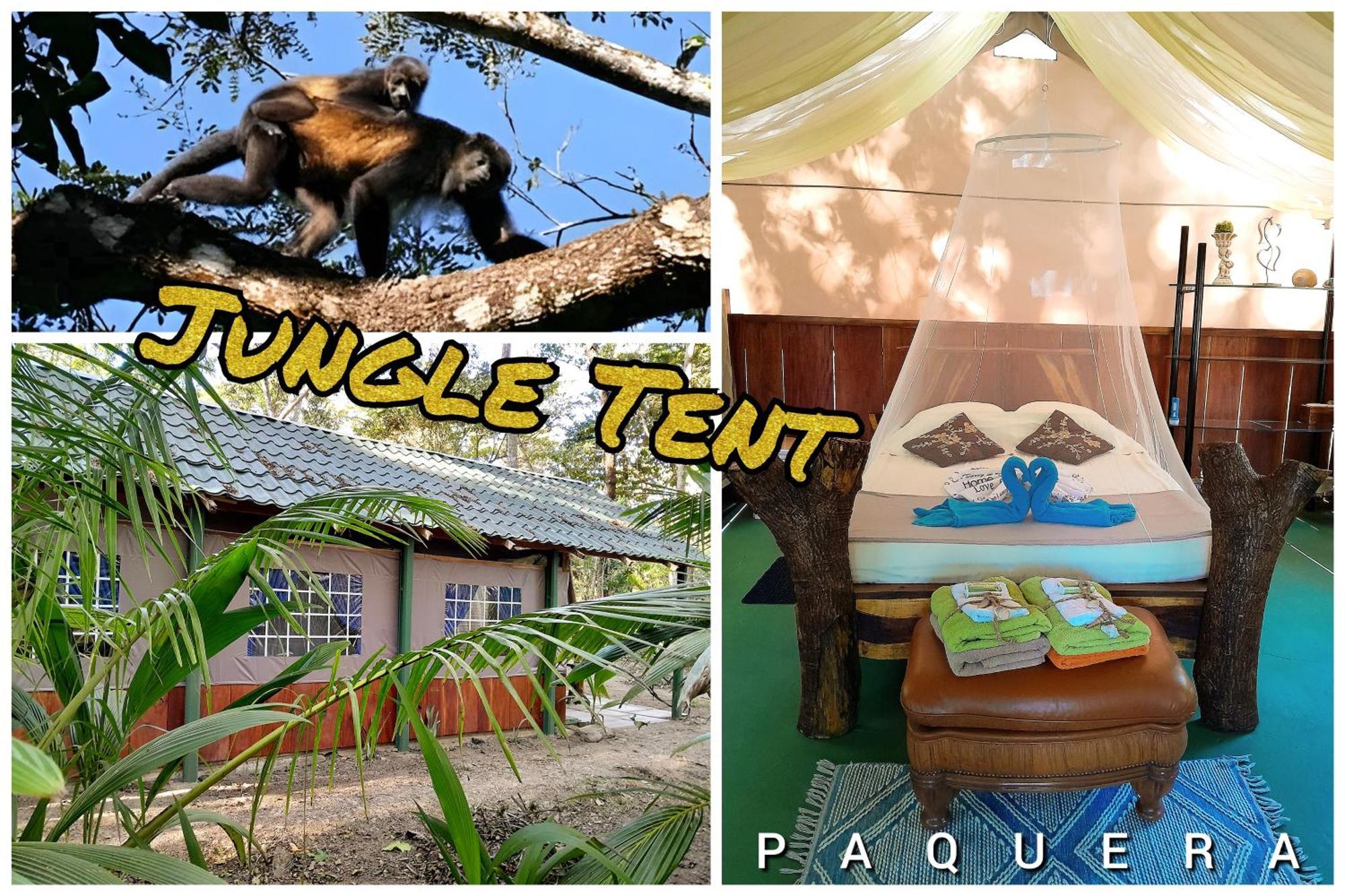 Fully Furnished Family Jungle Tent, Latino Glamping Пакера Экстерьер фото
