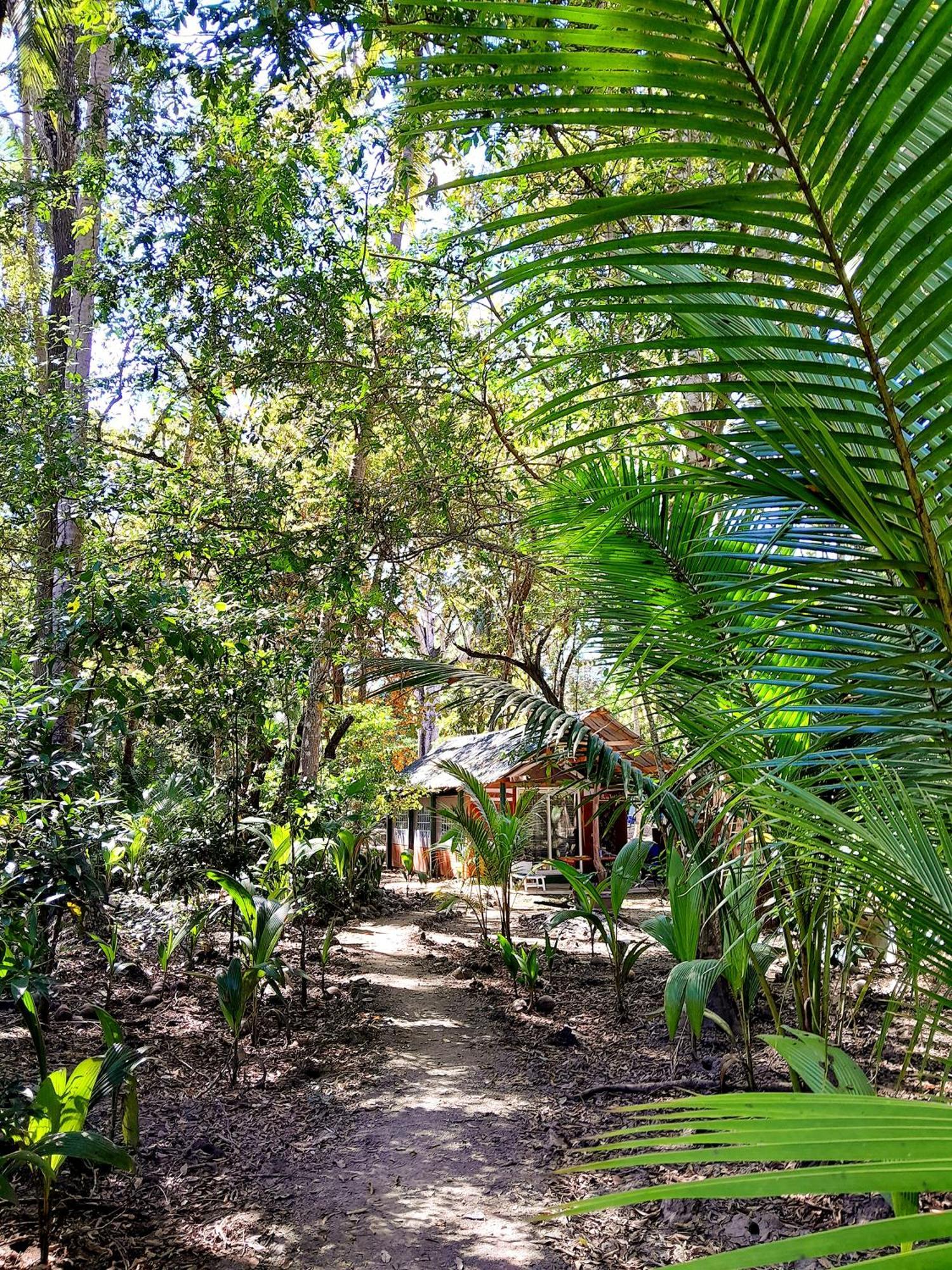 Fully Furnished Family Jungle Tent, Latino Glamping Пакера Экстерьер фото