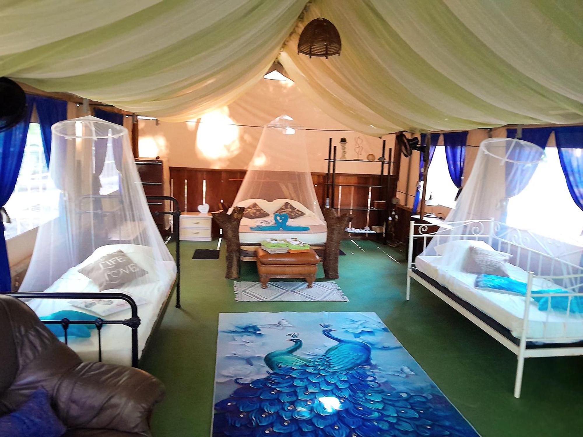 Fully Furnished Family Jungle Tent, Latino Glamping Пакера Экстерьер фото